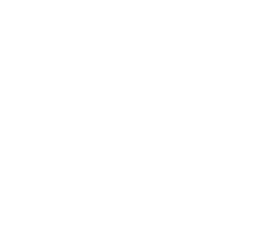 logo mlf